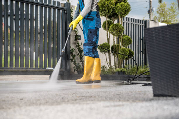 Best Solar Panel Cleaning  in Lochbuie, CO